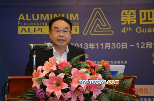 国务院参事、中国有色金属工业协会会长陈全训作重要讲话