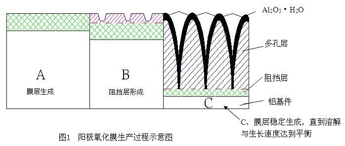 铝材阳极氧化膜成长机理