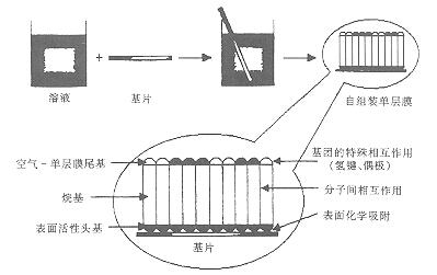 铝材表面分子自组装机理