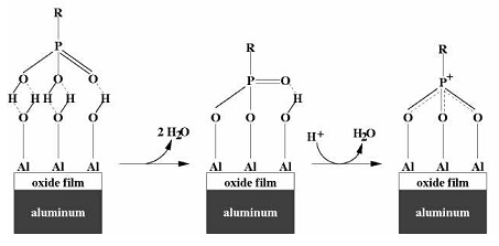 铝表面烷基膦酸自组装机理