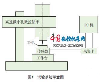 试验系统示意图